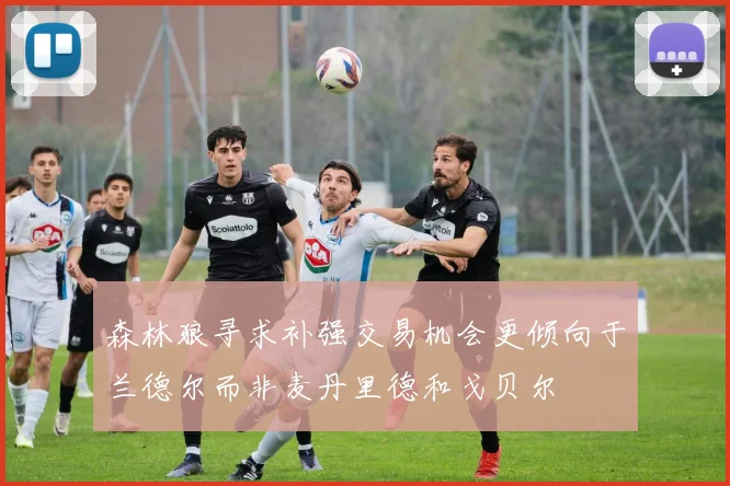 森林狼寻求补强交易机会更倾向于兰德尔而非麦丹里德和戈贝尔